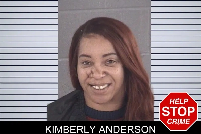 Kimberly Anderson mugshot