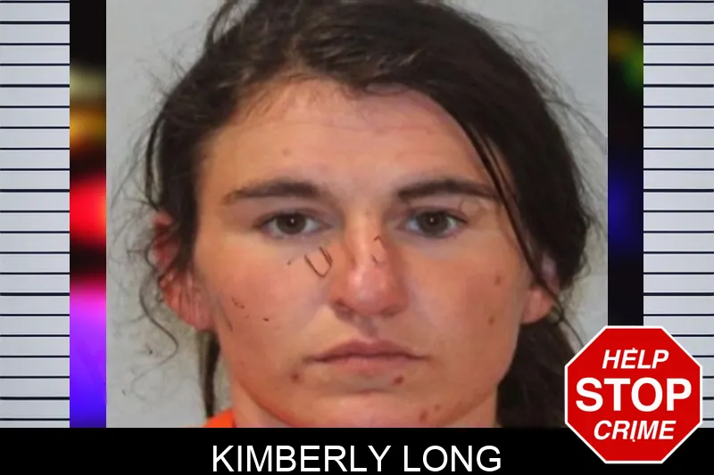 Kimberly Long mugshot