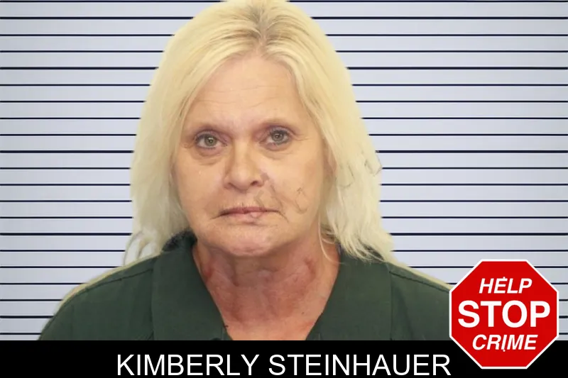 Kimberly Steinhauer mugshot – Chatham County , Georgia Kimberly Steinhauer mugshot