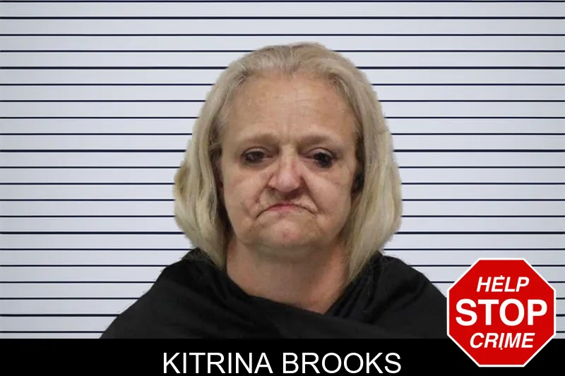Kitrina Brooks mugshot