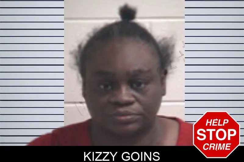 Kizzy Goins mugshot