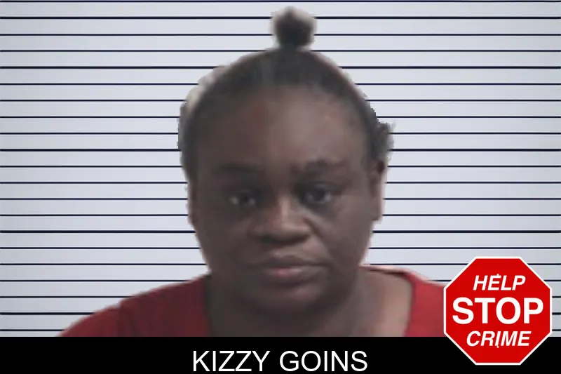 Kizzy Goins mugshot – Henry County , Georgia Kizzy Goins mugshot
