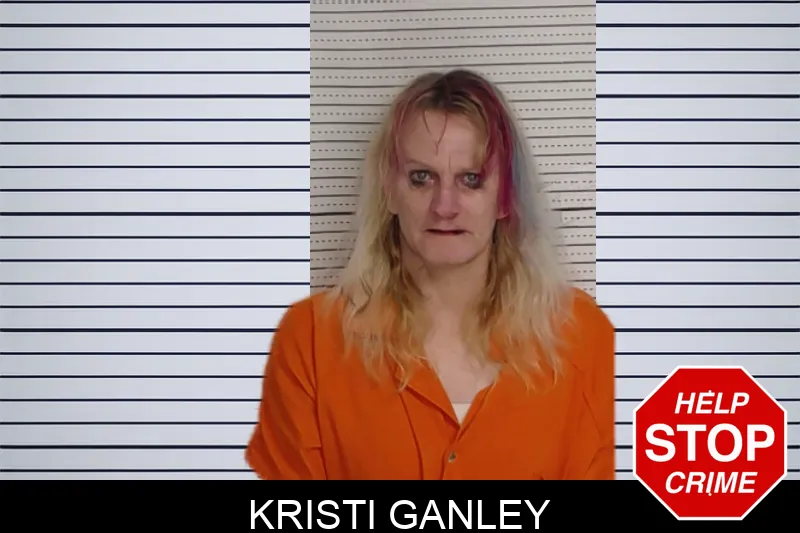 Kristi Ganley mugshot – Rockdale County , Georgia Kristi Ganley mugshot
