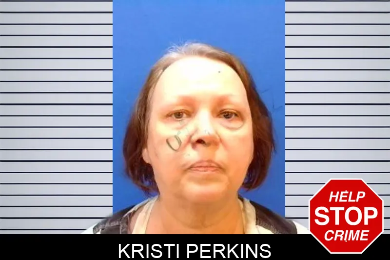 Kristi Perkins mugshot