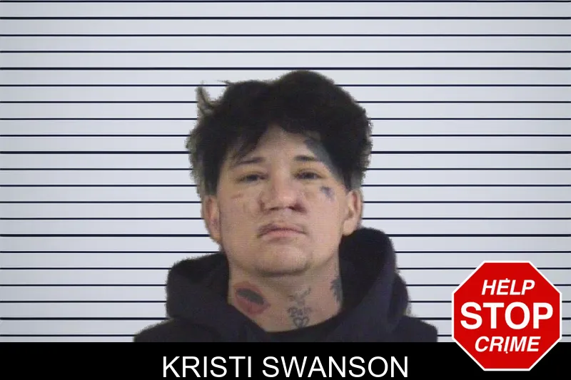 Kristi Swanson mugshot – Whitfield County , Georgia Kristi Swanson mugshot