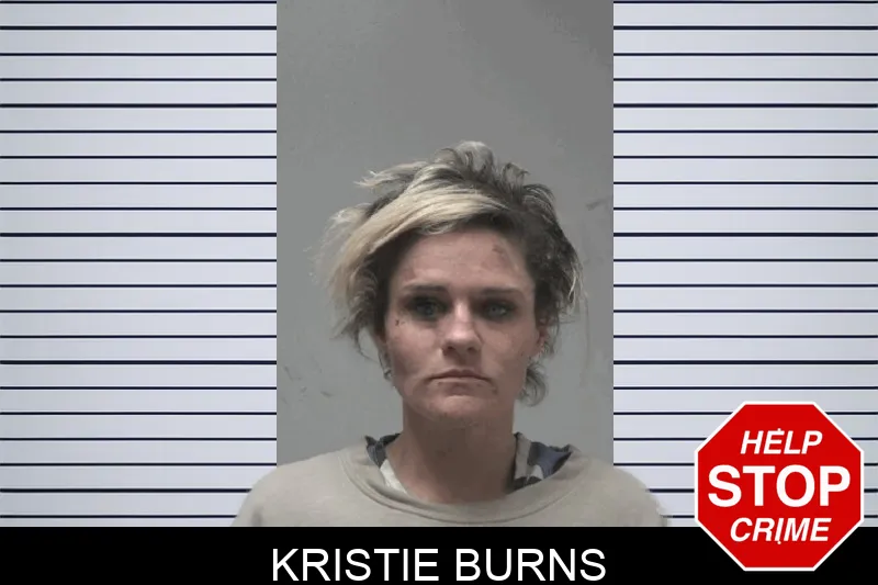 Kristie Burns mugshot