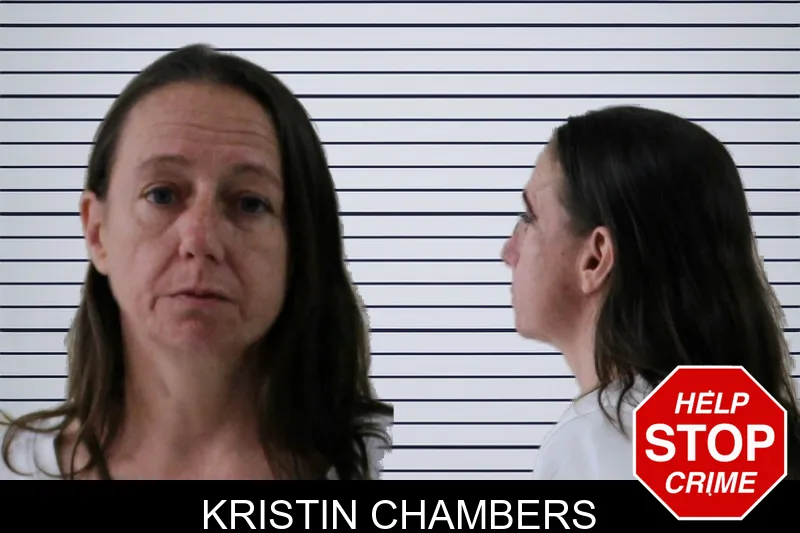 Kristin Chambers mugshot