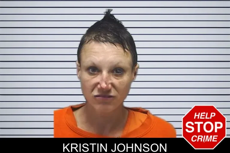 Kristin Johnson mugshot – Cherokee County , Georgia Kristin Johnson