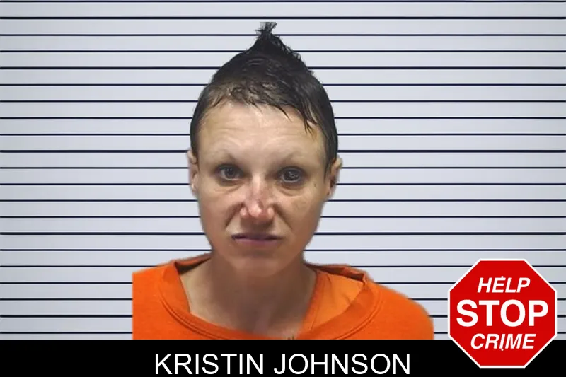 Kristin Johnson mugshot