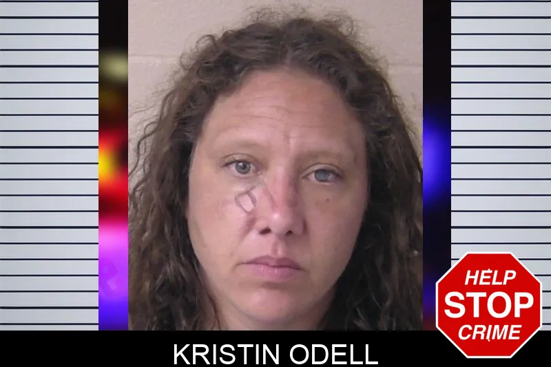 Kristin Odell mugshot – Walker County , Georgia Kristin Odell mugshot