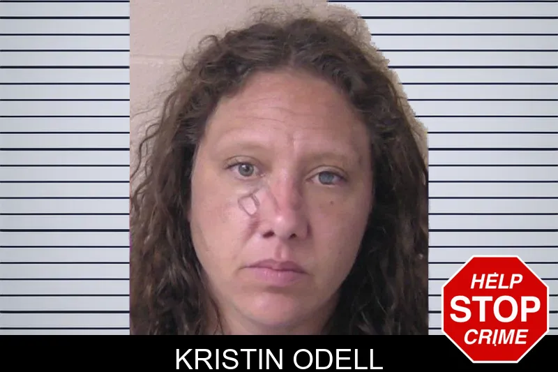 Kristin Odell mugshot – Walker County , Georgia Kristin Odell mugshot