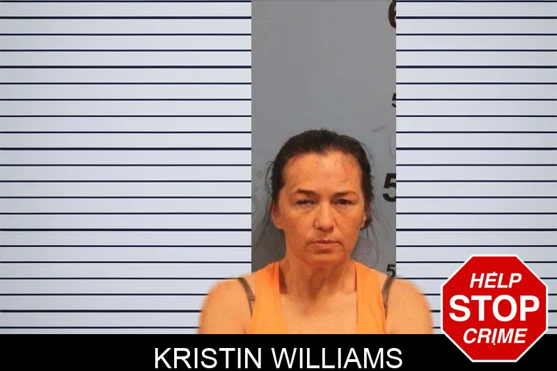 Kristin Williams mugshot