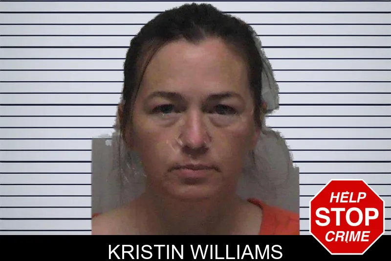 Kristin Williams mugshot
