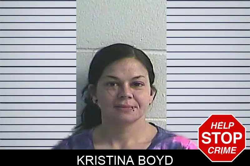 Kristina Boyd mugshot – Dawson County , Georgia Kristina Boyd mugshot