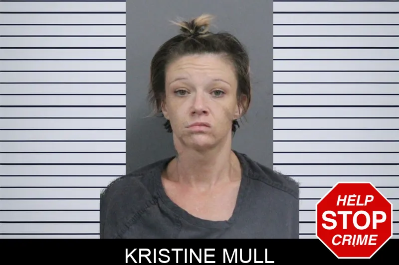 Kristine Mull mugshot