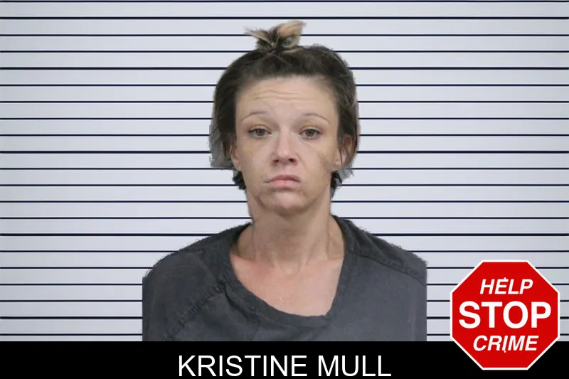 Kristine Mull mugshot