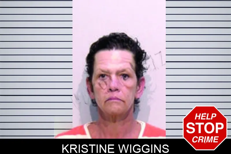 Kristine Wiggins mugshot – Bartow County , Georgia Kristine Wiggins mugshot