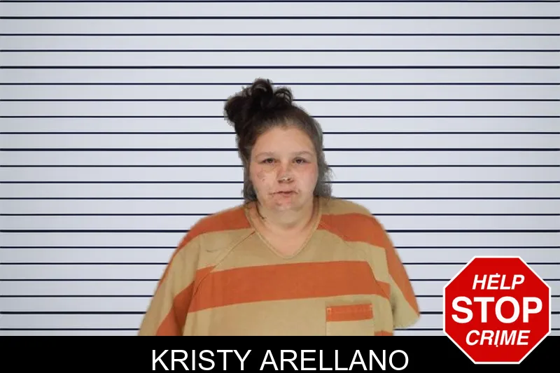 Kristy Arellano mugshot – Hall County , Georgia Kristy Arellano mugshot