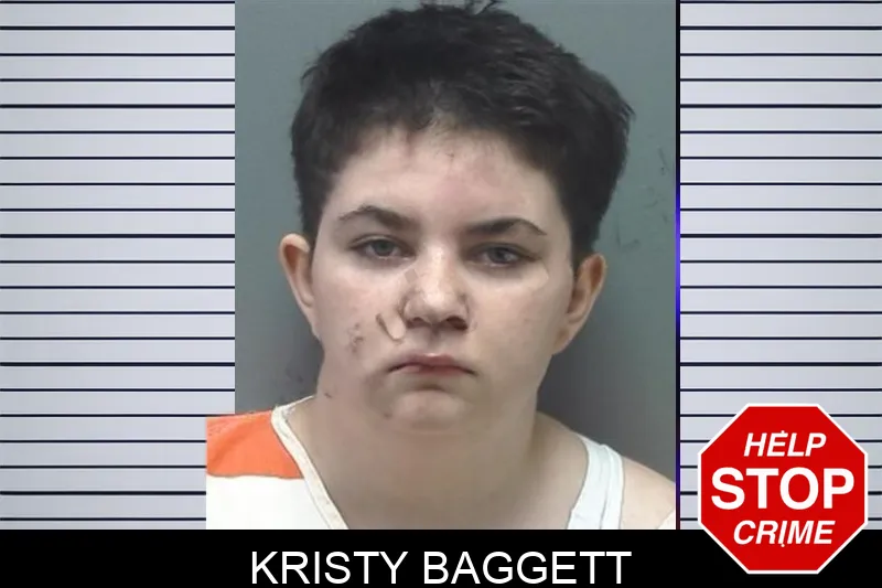 Kristy Baggett mugshot