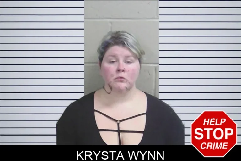 Krysta Wynn mugshot – Wayne County , Georgia Krysta Wynn