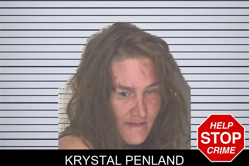Krystal Penland mugshot