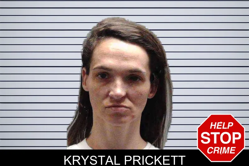 Krystal Prickett mugshot