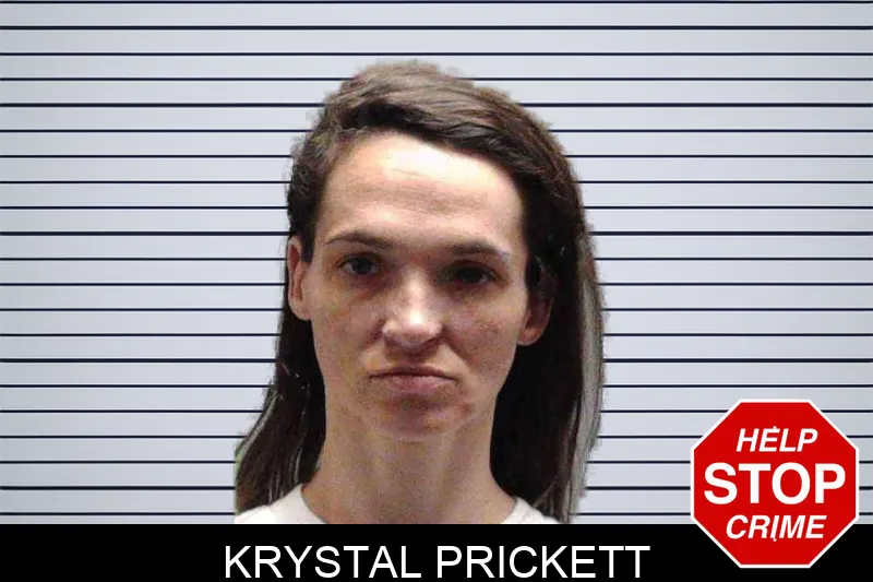 Krystal Prickett mugshot