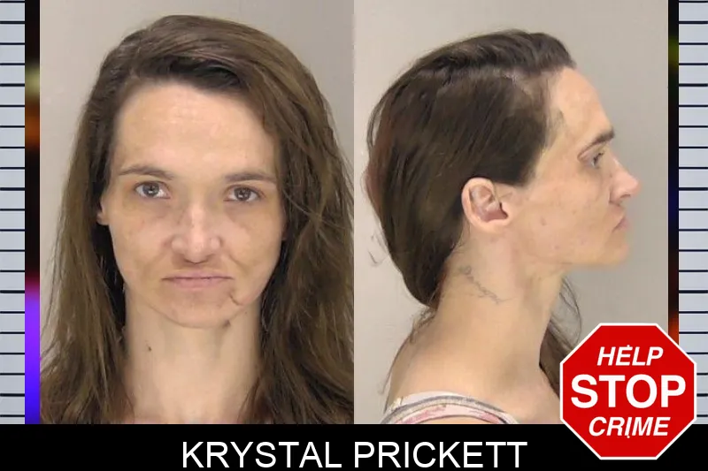 Krystal Prickett mugshot