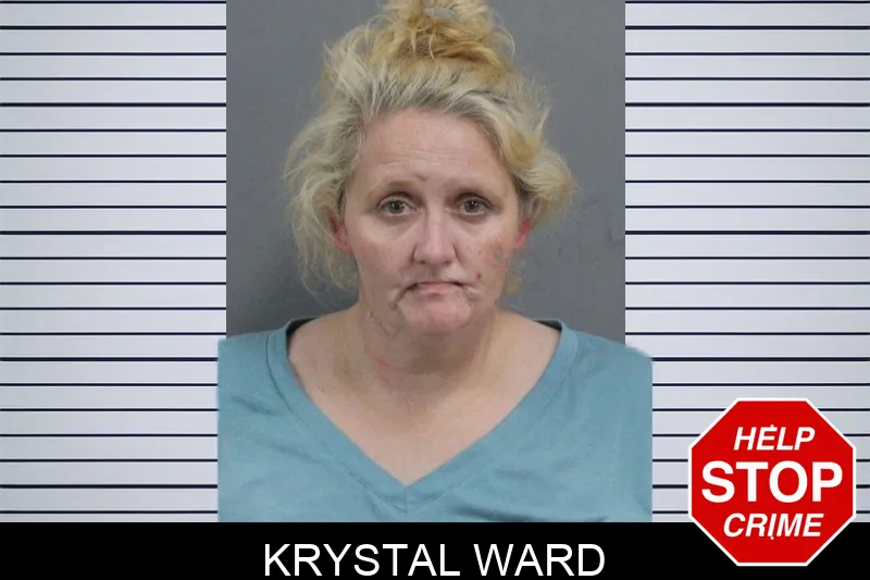 Krystal Ward mugshot – Catoosa County , Georgia Krystal Ward mugshot