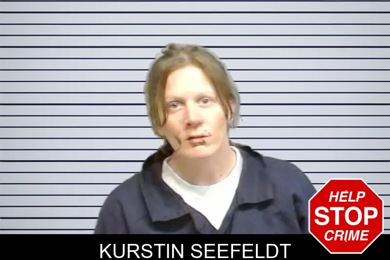 Kurstin Seefeldt mugshot – Fulton County , Georgia Kurstin Seefeldt mugshot