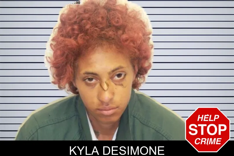 Kyla Desimone mugshot – Chatham County , Georgia Kyla Desimone mugshot