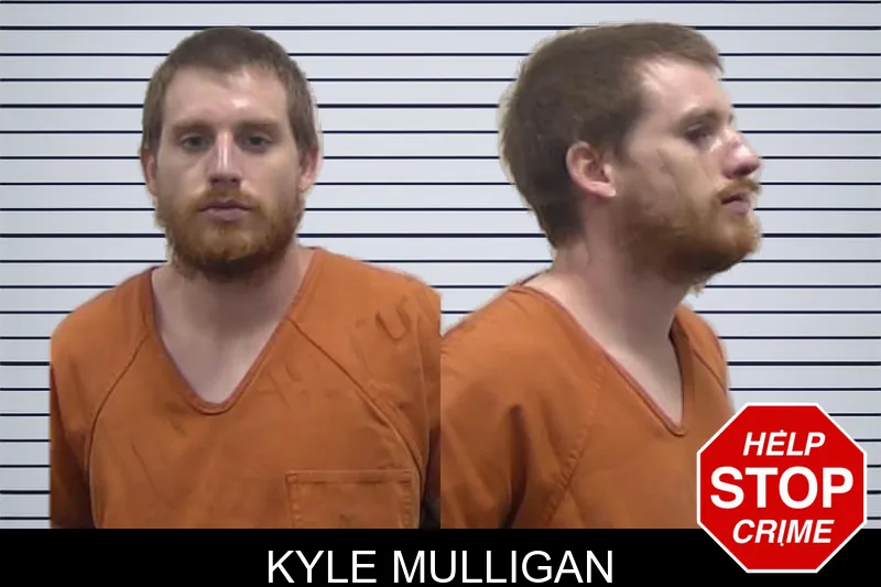 Kyle Mulligan mugshot