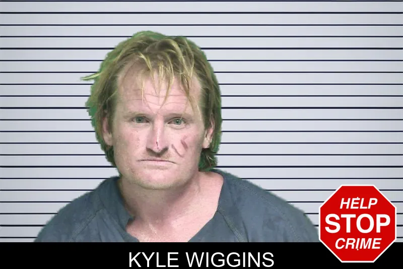 Kyle Wiggins mugshot – Appling County , Georgia Kyle Wiggins mugshot