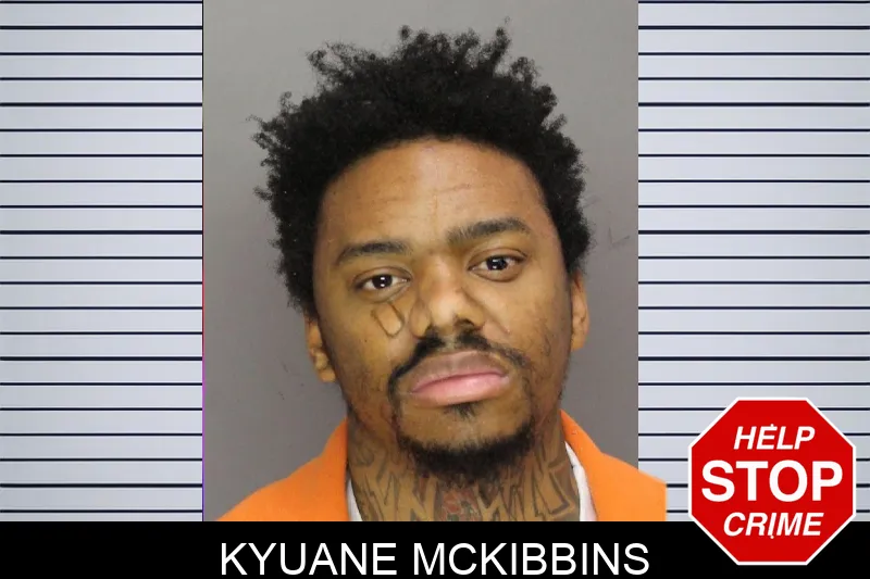 Kyuane McKibbins mugshot