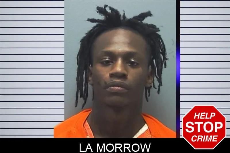 La Morrow mugshot – Cherokee County , Georgia La Morrow mugshot