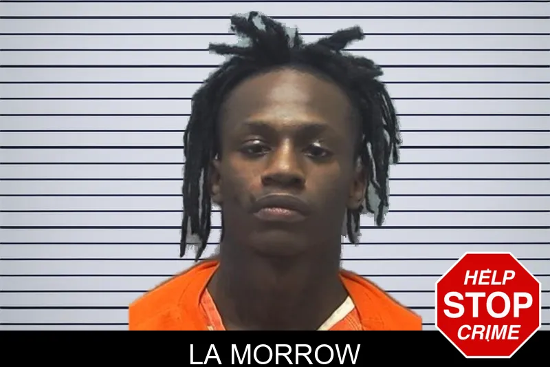 La Morrow mugshot – Cherokee County , Georgia La Morrow mugshot