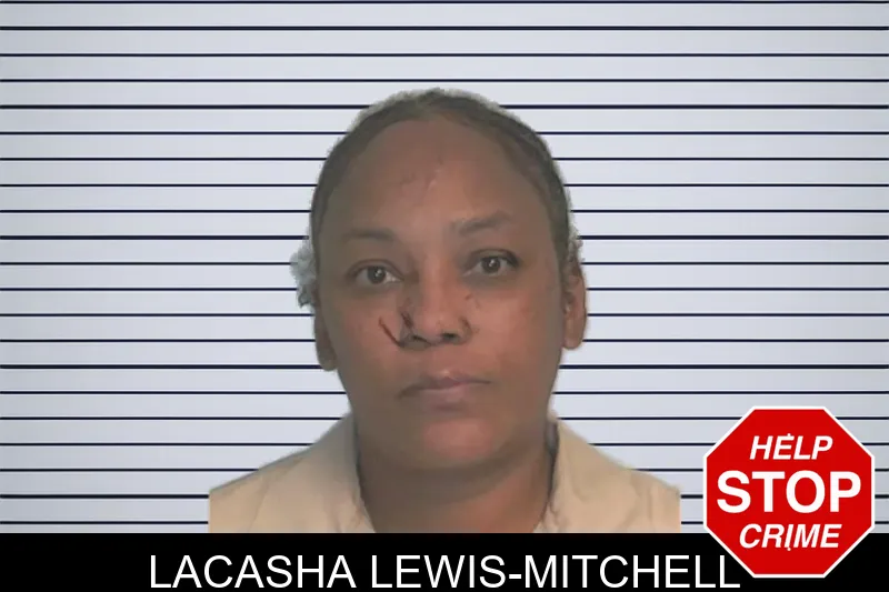 Lacasha Lewis-Mitchell mugshot – Berrien County , Georgia Lacasha Lewis-Mitchell mugshot