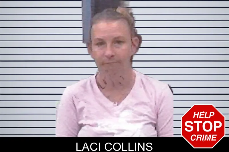 Laci Collins mugshot