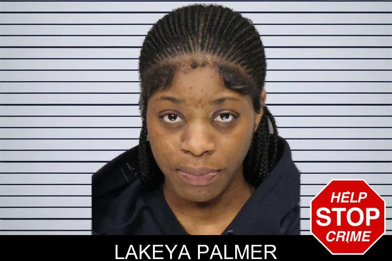 Lakeya Palmer mugshot – Cobb County , Georgia Lakeya Palmer mugshot