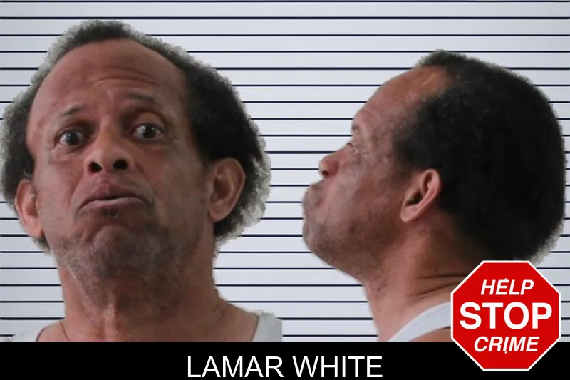 Lamar White mugshot – Houston County , Georgia Lamar White mugshot