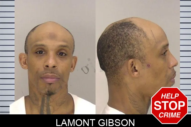 Lamont Gibson mugshot