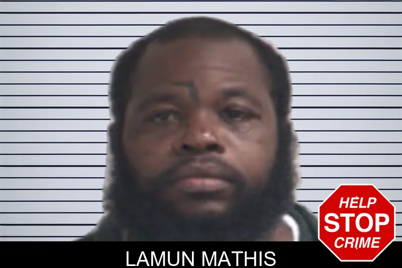 Lamun Mathis mugshot – Henry County , Georgia Lamun Mathis mugshot