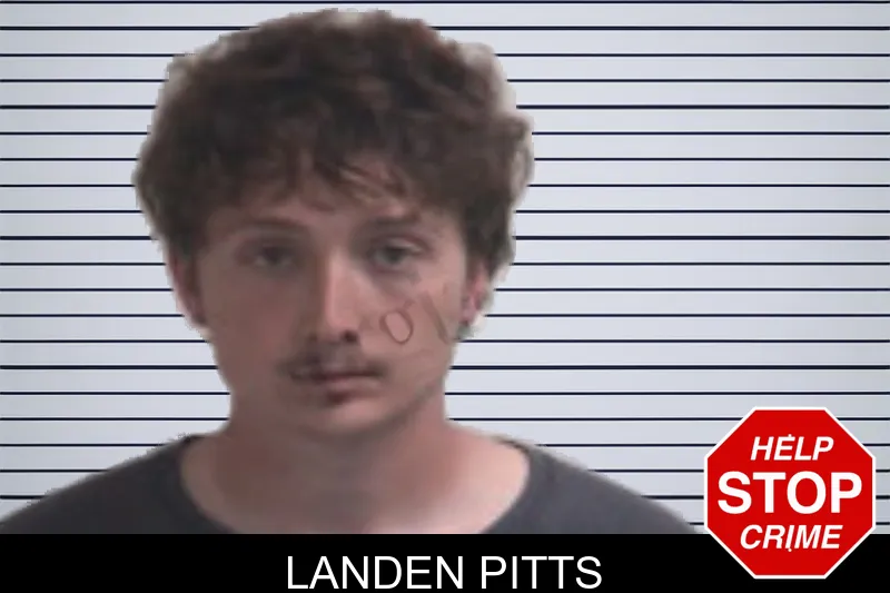 Landen Pitts mugshot – Henry County , Georgia Landen Pitts mugshot