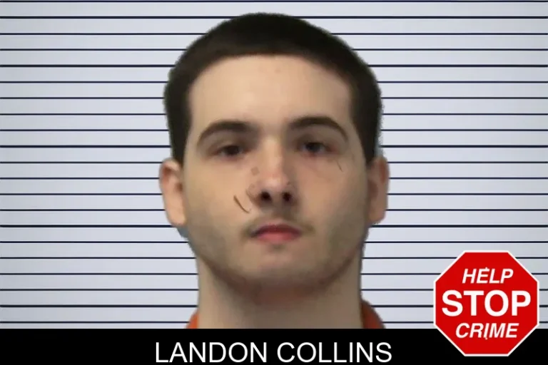 Landon Collins