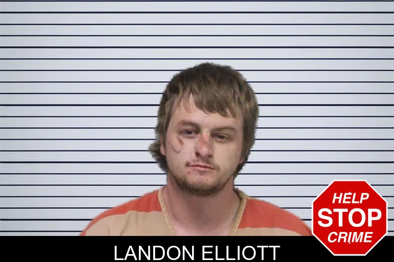 Landon Elliott mugshot