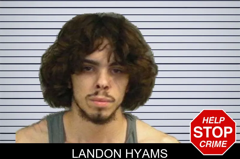 Landon Hyams mugshot