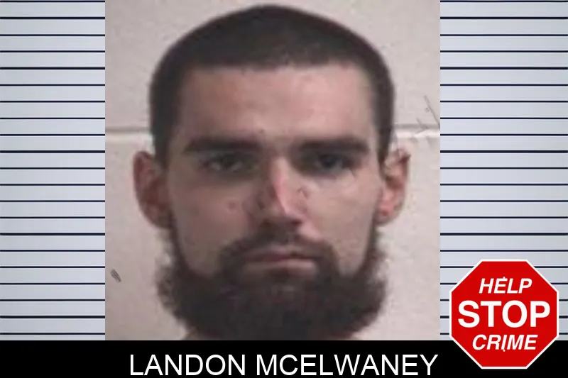Landon McElwaney mugshot – Henry County , Georgia Landon McElwaney mugshot