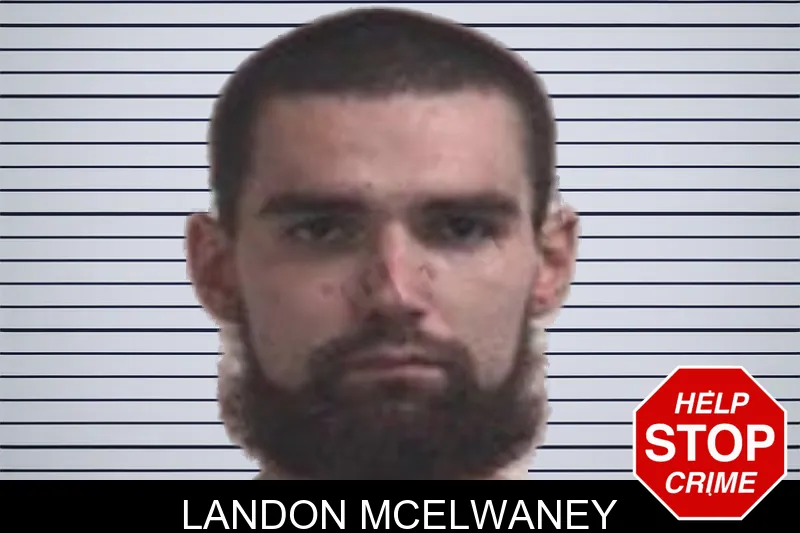 Landon McElwaney mugshot
