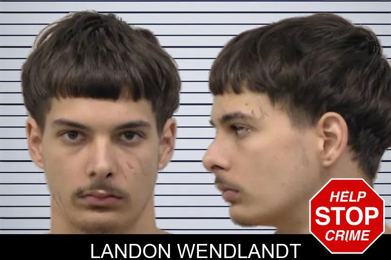 Landon Wendlandt mugshot