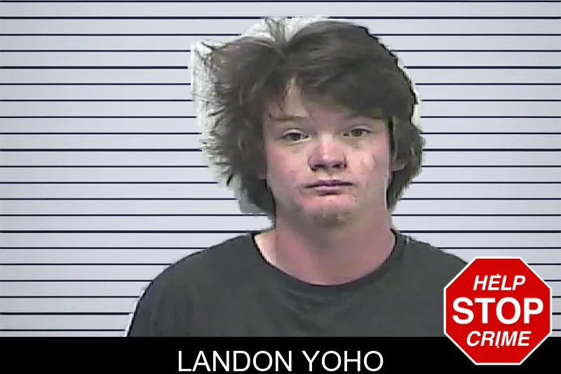 Landon Yoho mugshot